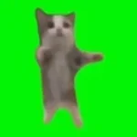 happ happ happy SLOWED