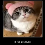 serg joining catalog