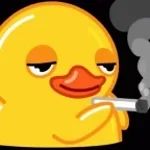 vet you gotta play duck step