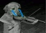 Sad violin