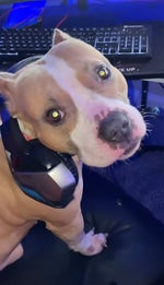 Patrick Watson Je Te Laisserai