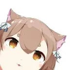 steven am about to kamm