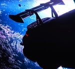 VISION (Slowed+Loop)