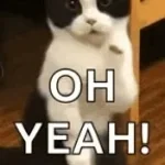 Yaaa