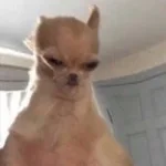 RIZZ Sound Effect slow