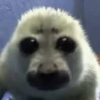 La Ariana The Grande