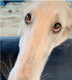 Minecraft Wet Hands!