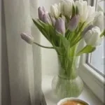 Maldita Primavera