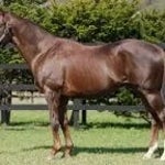 MARVELOUS SUNDAY WAKE UP