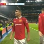 pagiku cerah king emyu