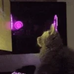 Спокойная ночь (online-video-cutter.com)