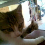 blocky laughing bfdi