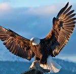 hat du versucht einzusperrt