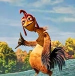 João Galo Aula ONLINE