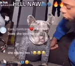 Nah dog sound effect