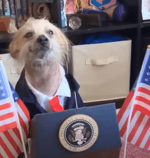 Radio Click End Transmission