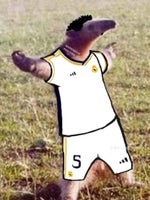 No Miggas toilet-Quany