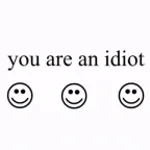 "You are an idiot!"