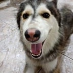 PAMPATILLAS RAP-OFFICIAL - Sound