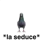 Psst screech sound effect