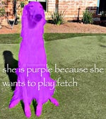 The drunk Scotsman pt 4