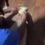 Who did this to you Roger