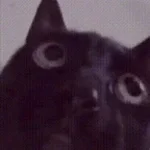 FETCH ME THIER SOULS