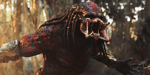 predator short click