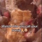 WATCH WHO YOU CALL UR HOMIEEE