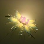 Deep Loud Morning Flower