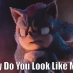 Did you know hedgehogs are lactose intolerant？ - Dash