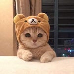 Penguinz0 cr1tikal Yeah Baby Tha (getmp3 - Sound