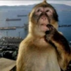 There's Shrimp on Sale (copy)