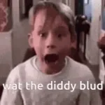 DIDDY BLUD (copy) loud