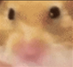 "hi, good morning" Sound Effect - Sound