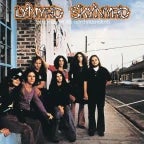 Free Bird Solo (pt.3)