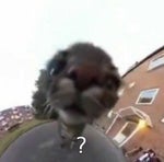 Xiao Ling is trapped in Geometry Dash