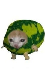 At least im safe inside my mind (patrick)