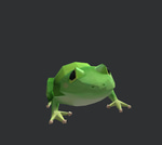 mypriv frog 1