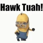 HAWK TUAH