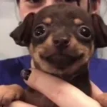 Bad habit Steve lacy (copy)