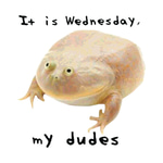 It is Wednesday my dudes.