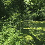 POUNDS (CHILLCHILDREN) PT3