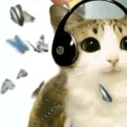 brainrot hyperflip quiet