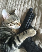 Sai pra la com essas musiquinhas de Intagram