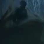 Darkness Swallowed Up