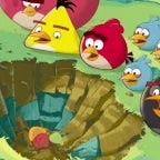 angry birds space (new bird sound)