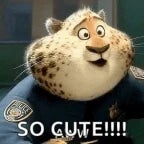 Recording 10/12/25 03:00:41