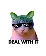 bad bunny neverita meme