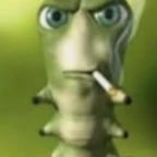 SE SOIR EN VILLE YA DLA CHATTE (copy) (copy)